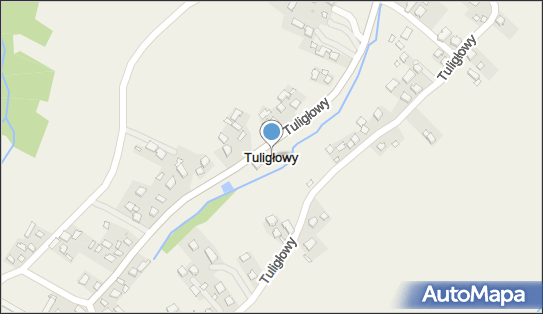 Tuligłowy (województwo podkarpackie), Tuligłowy - Inne