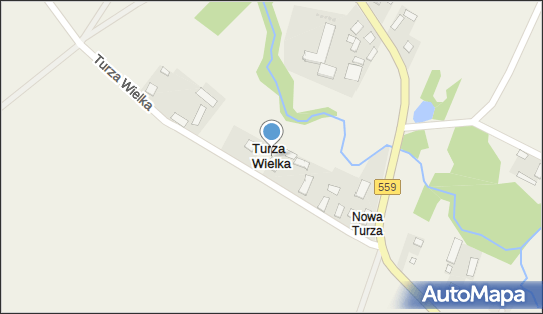 Turza Wielka (powiat płocki), Turza Wielka - Inne