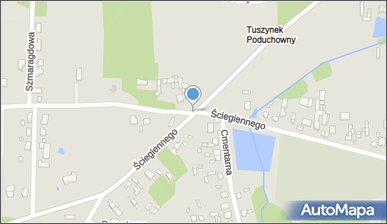 Tuszynek Poduchowny, Ściegiennego Piotra, ks., Tuszyn 95-080 - Inne