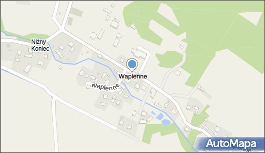 Wapienne, Wapienne - Inne