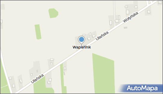 Wapiennik (gmina Miedźno), Wapiennik - Inne