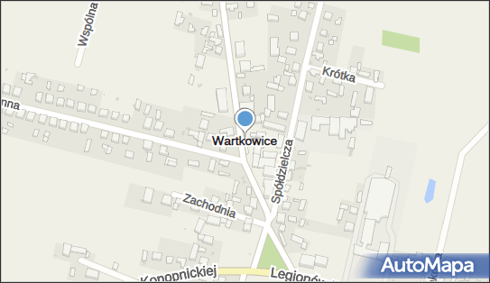 Wartkowice, Wartkowice - Inne