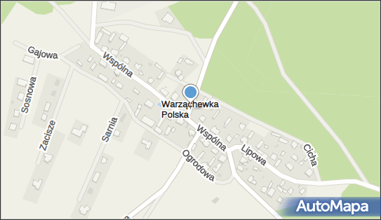 Warząchewka Polska, Warząchewka Polska - Inne