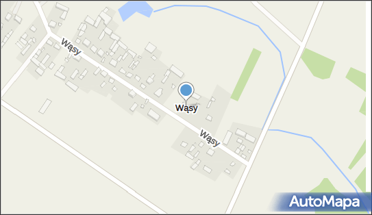 Wąsy (województwo mazowieckie), Wąsy - Inne