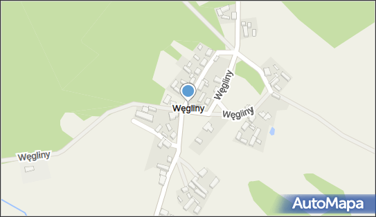 Węgliny, Węgliny - Inne