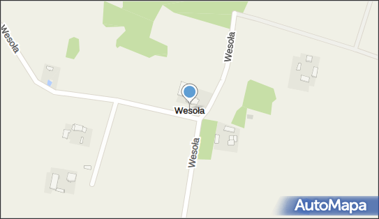 Wesoła (dzielnica Warszawy), Wesoła - Inne