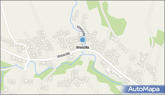 Wesoła (województwo podkarpackie), Wesoła - Inne