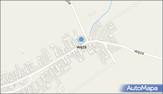 Węża, Węża - Inne