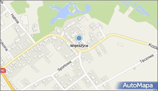 Większyce, Większyce - Inne