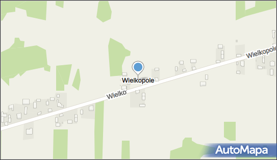 Wielkopole (Tuszyn), Wielkopole - Inne