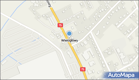 Wielogłowy (województwo małopolskie), Wielogłowy - Inne