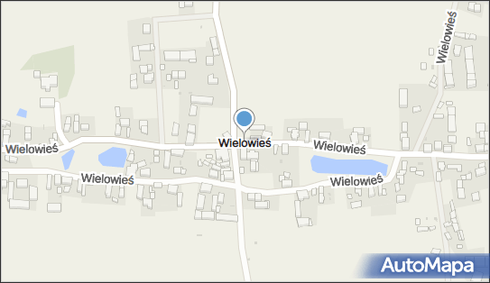 Wielowieś (powiat lubiński), Wielowieś - Inne