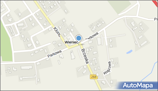 Wieniec (powiat włocławski), Parkowa, Wieniec 87-880 - Inne