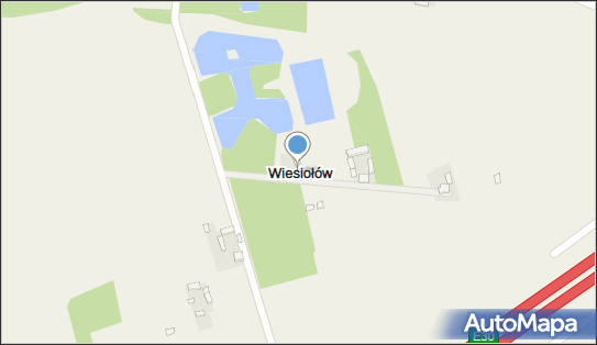 Wiesiołów (województwo łódzkie), Wiesiołów - Inne