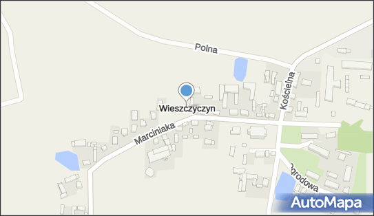 Wieszczyczyn, Wieszczyczyn - Inne
