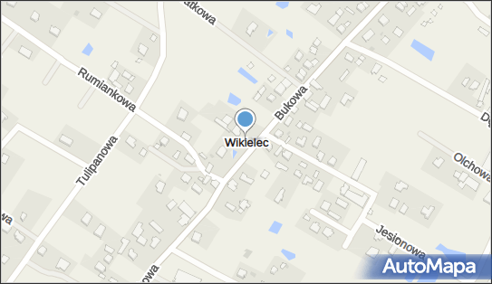 Wikielec (powiat iławski), Wikielec - Inne