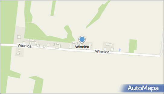 Winnica (powiat płocki), Winnica - Inne