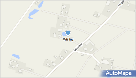 Wiśliny, Wiśliny - Inne