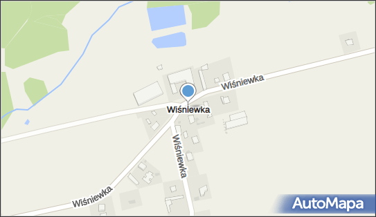 Wiśniewka, Wiśniewka - Inne