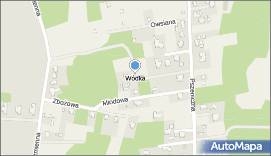 Wódka (województwo łódzkie), Wódka - Inne