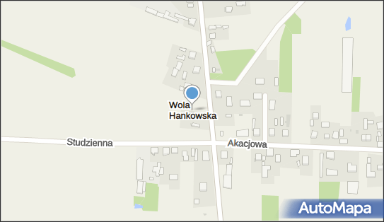 Wola Hankowska, Wola Hankowska - Inne