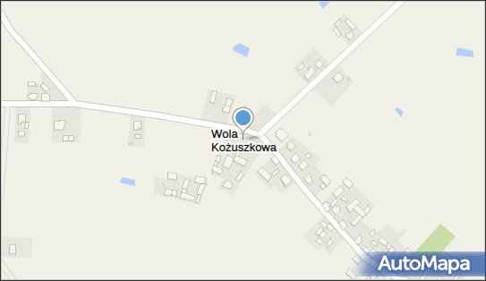 Wola Kożuszkowa, Wola Kożuszkowa - Inne