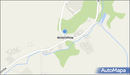 Wolbromów, Wolbromów - Inne