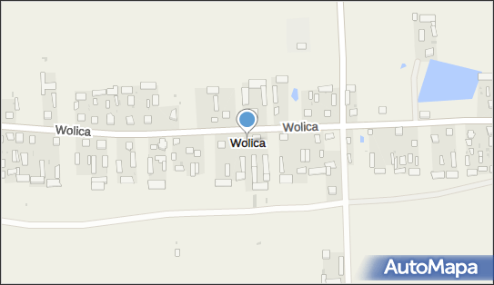 Wolica (powiat lubartowski), Wolica - Inne