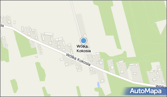 Wólka Kokosia, Wólka Kokosia - Inne