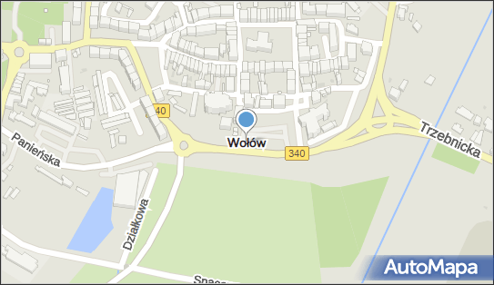 Wołów, Wołów - Inne