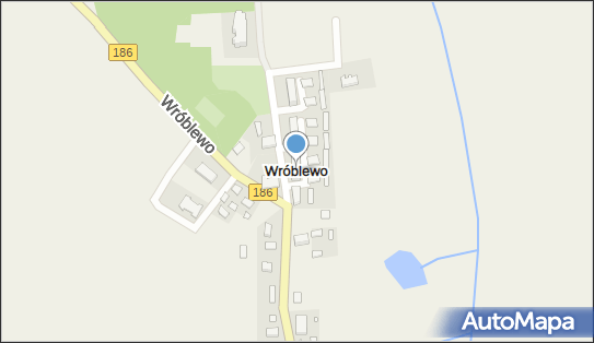 Wróblewo (powiat szamotulski), Wróblewo - Inne