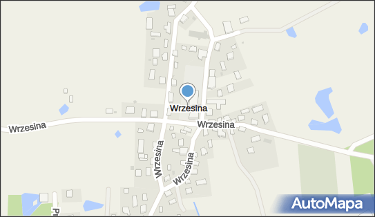 Wrzesina, Wrzesina - Inne