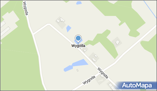 Wygoda (powiat świecki), Wygoda - Inne