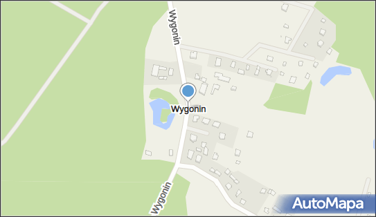 Wygonin, Wygonin - Inne