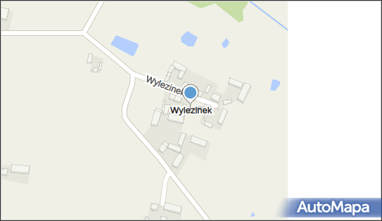 Wylezinek, Wylezinek - Inne