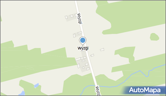 Wyzgi, Wyzgi - Inne