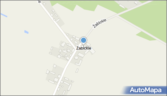 Żabickie, Żabickie - Inne