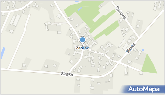 Zabijak (województwo śląskie), Zabijak - Inne