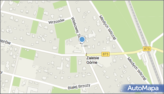 Zalesie Górne, Wiekowej Sosny, Zalesie Górne 05-540 - Inne