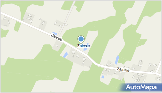 Zalesie (powiat ciechanowski), Zalesie - Inne