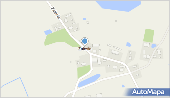 Zalesie (powiat elbląski), Zalesie - Inne