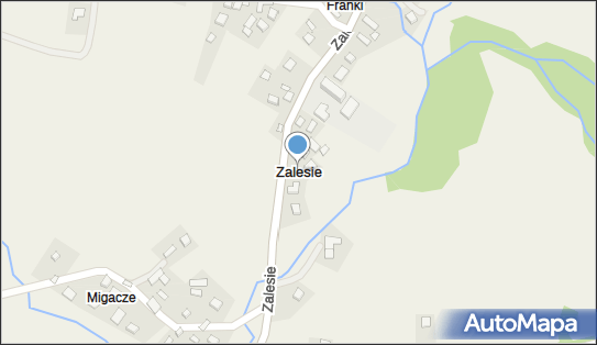 Zalesie (powiat limanowski), Zalesie - Inne