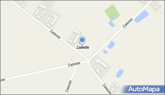 Zalesie (powiat łowicki), Zalesie - Inne