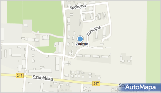 Zalesie (powiat nakielski), Ogrodowa, Zalesie 89-200 - Inne