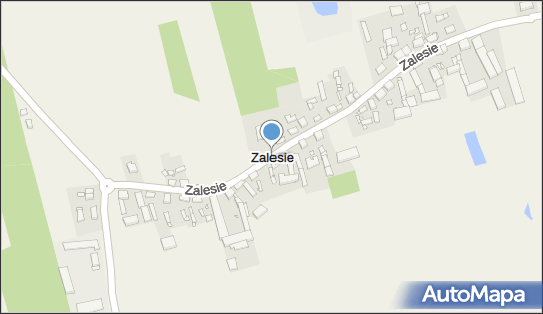 Zalesie (powiat ostrzeszowski), Zalesie - Inne