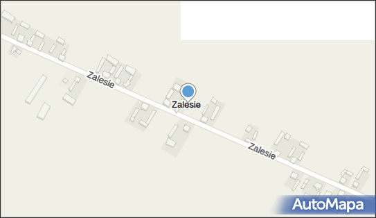 Zalesie (powiat tomaszowski), Zalesie - Inne