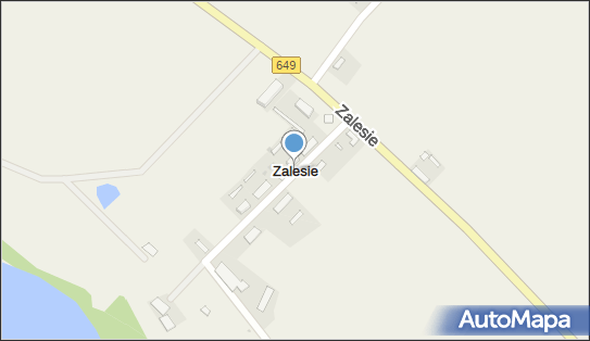 Zalesie (powiat toruński), Zalesie, Zalesie 87-140 - Inne