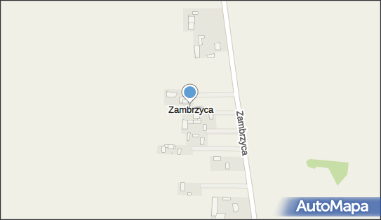 Zambrzyca, Zambrzyca - Inne