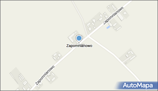 Zapomianowo, Zapomnianowo - Inne