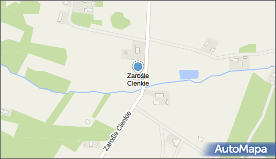 Zarośle Cienkie, Zarośle Cienkie - Inne